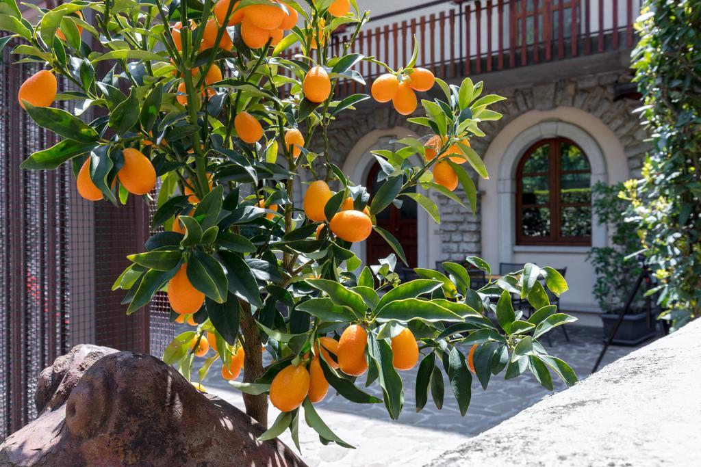 Villa Mariarosa Apartments Tignale Εξωτερικό φωτογραφία
